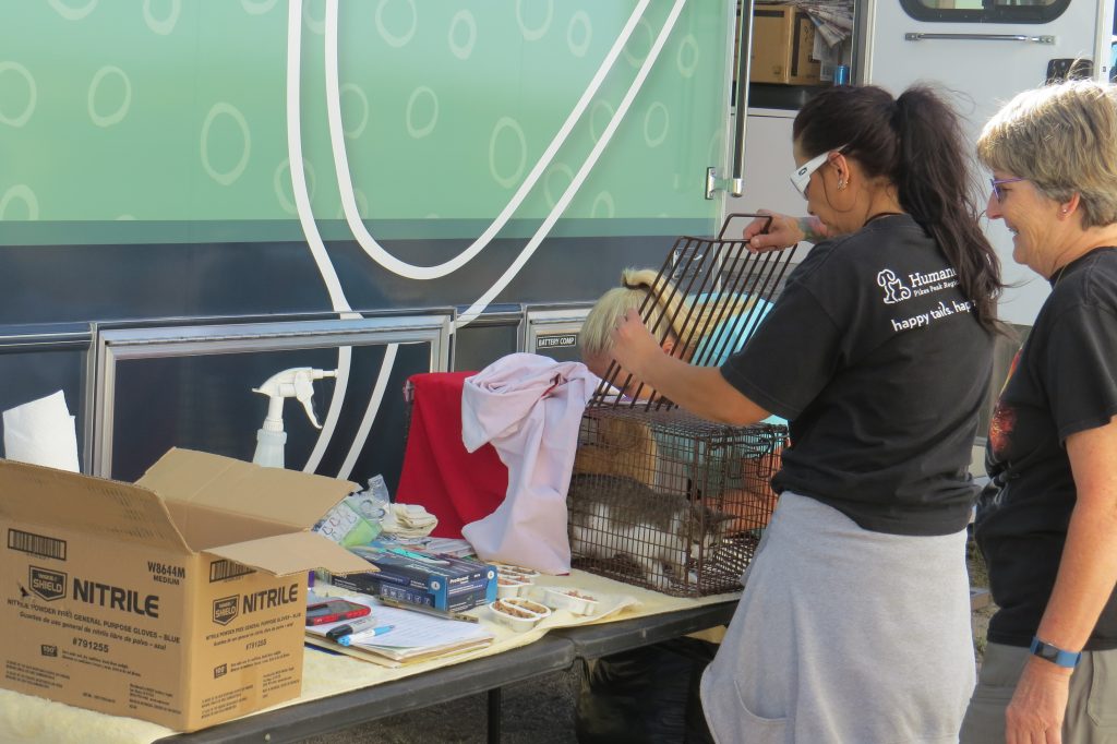 HSPPR Wellness Waggin'